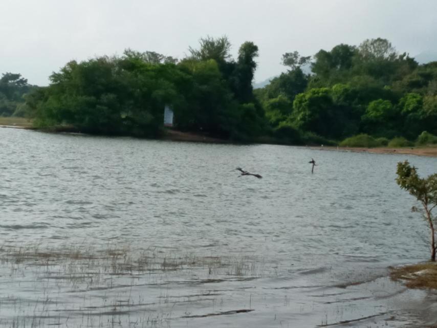 Restwell Homestay Dambulla Zewnętrze zdjęcie